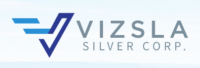 Vizsla Silver